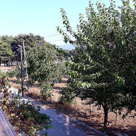Can Efes Hotel セルチュク エクステリア 写真
